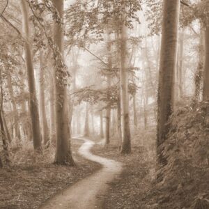 Peaceful Path