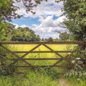 Alternative view of MU1727 - Country Fence