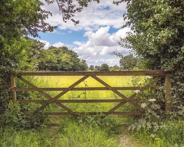 Alternative view of MU1727 - Country Fence