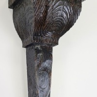 Dark Walnut