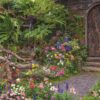 backyard garden