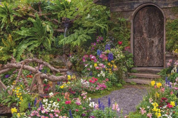 backyard garden
