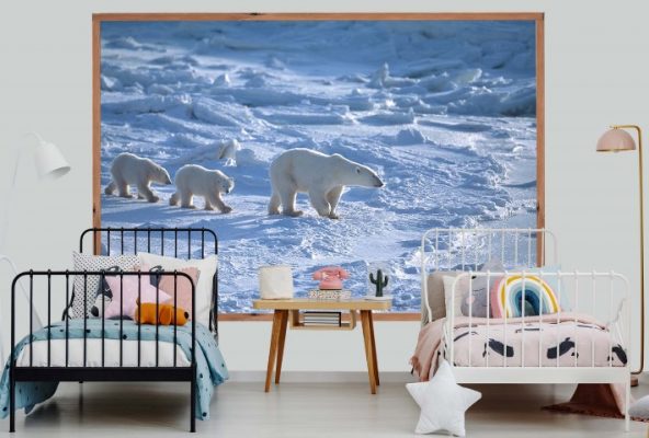 Cozy Bedroom Interior For Siblings. Two Beds, One White, One Bla