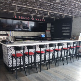 ceiling tile installation for staten island restaurant