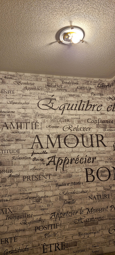 wall mural installation project