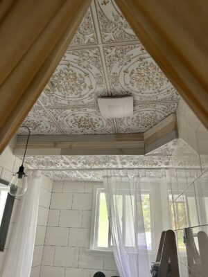 ehancing bathroom with ceiling tiles in bc