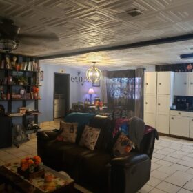 louisiana styrofoam ceiling tile installation