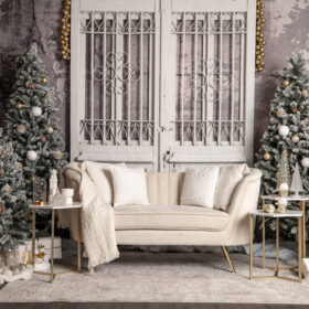 wall mural installed as backdrop in photo studio