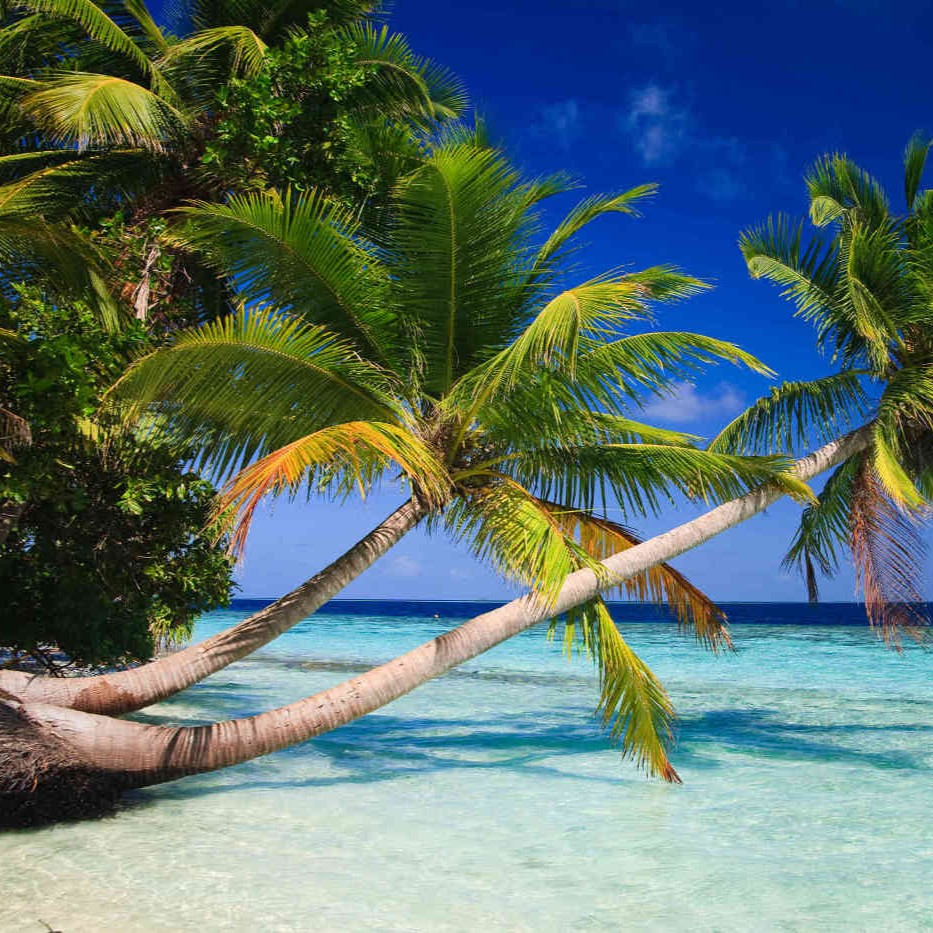 Water and Beaches
