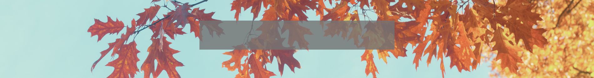talissa end of summer sale