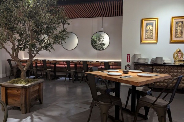 Wide interior view of a Sacramento restaurant showing an indoor olive tree, warm lighting, and flawless high density polymer crown molding.
