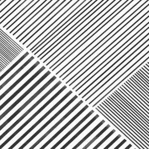 2322 monochrome dynamics dynamiques monochromes