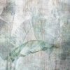 2325 echoes of nature echos de la nature