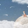 Fox on the Moon Blue