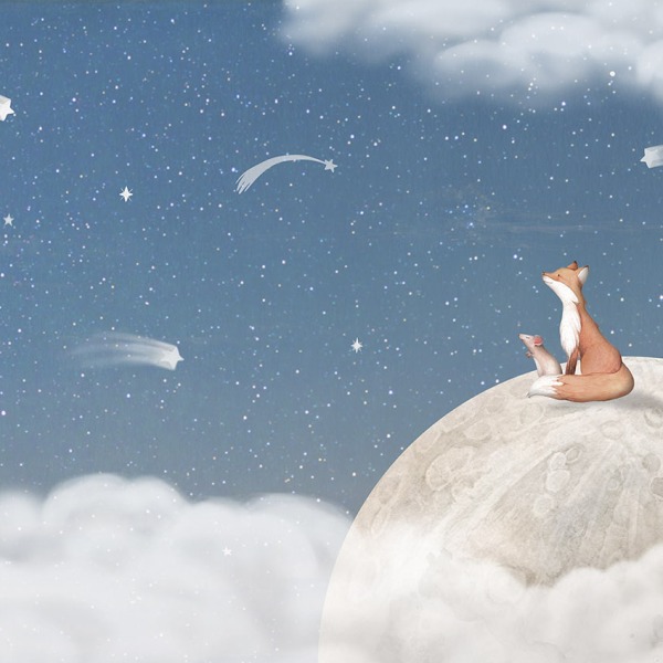 Fox on the Moon Blue