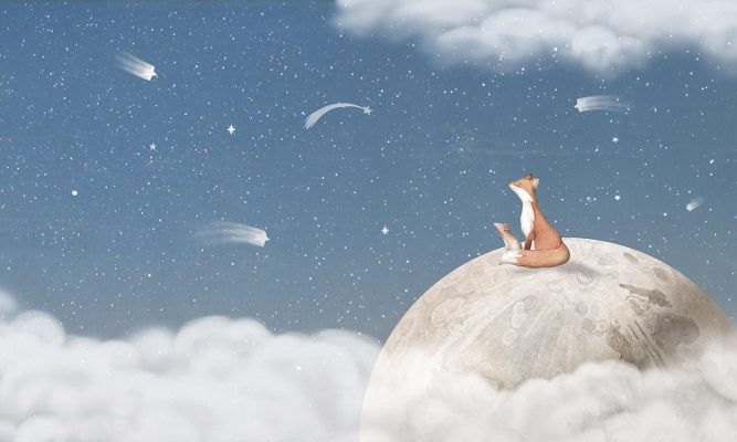 Fox on the Moon Blue